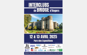 TOURNOI REGIONAL INTERCLUB D'ANGERS